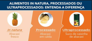Classificação dos alimentos_IDEC
